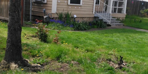 Addictions Recovery Center - Outpatient Services