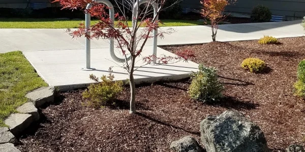 Coos Health and Wellness