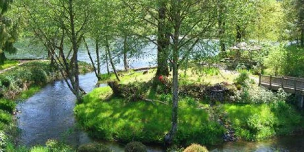 Monte Nido - Rain Rock